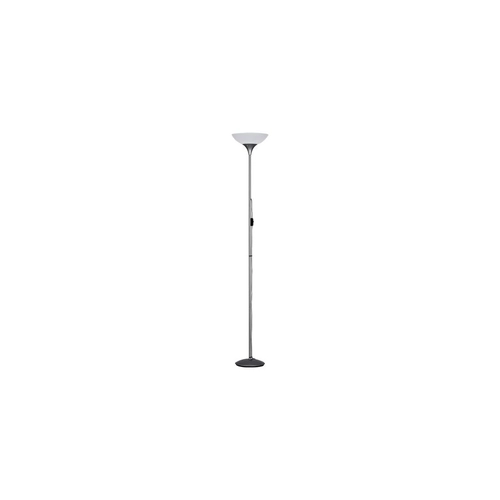 Piantana Dezwo BRI1006932