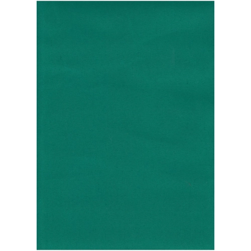 Tenda da sole cm 145x300, verde a tinta unita BRI1055444