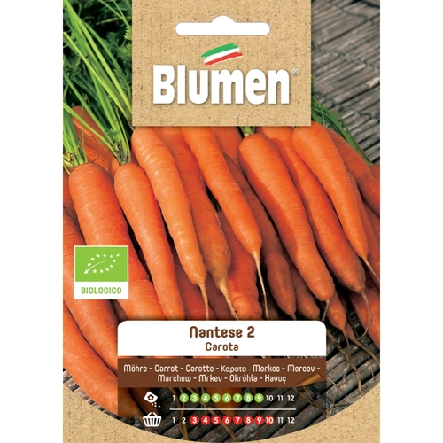 Semi orto di carota 20 g BRI1070582