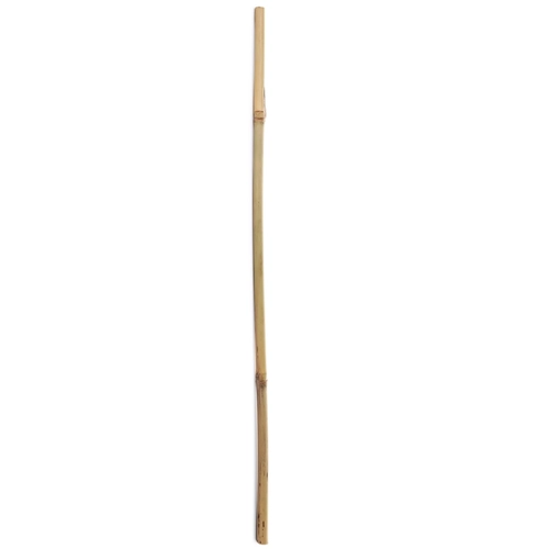 Tutore BAMBOO TUTOR BRI1078132