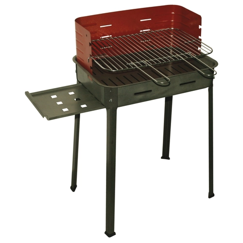 Barbecue Picnic BRI1140764