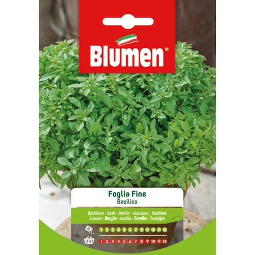 Semi orto di basilico 20 g BRI117041