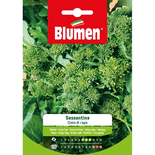 Semi orto di cima di rapa 20 g BRI117048