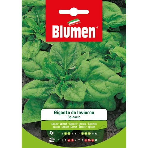 Semi orto di spinacio 20 g BRI117050