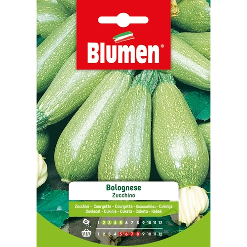 Semi orto di zucchino 20 g BRI117053
