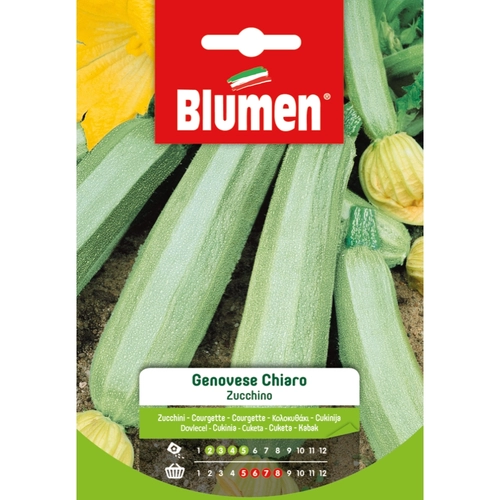 Semi orto di zucchino 20 g BRI117054