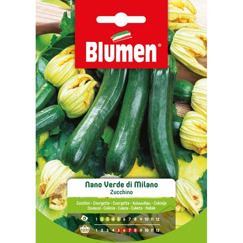 Semi orto di zucchino 20 g BRI117055
