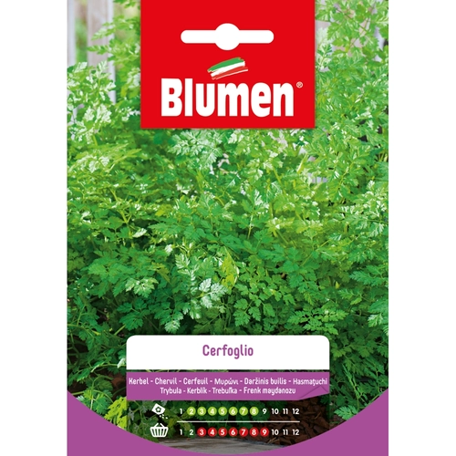 Semi orto di cerfoglio 20 g BRI117056