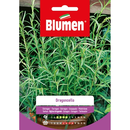 Semi orto di dragoncello 20 g BRI117057