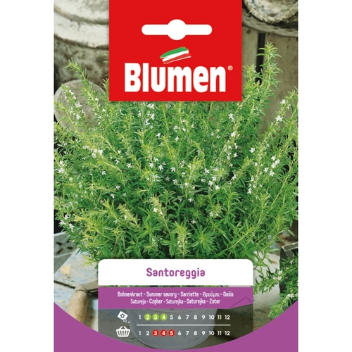 Semi orto di santoreggia 20 g BRI117058