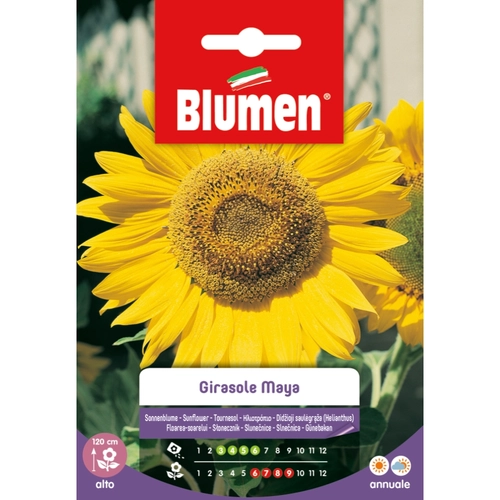Semi fiore di girasole 20 g BRI1194020