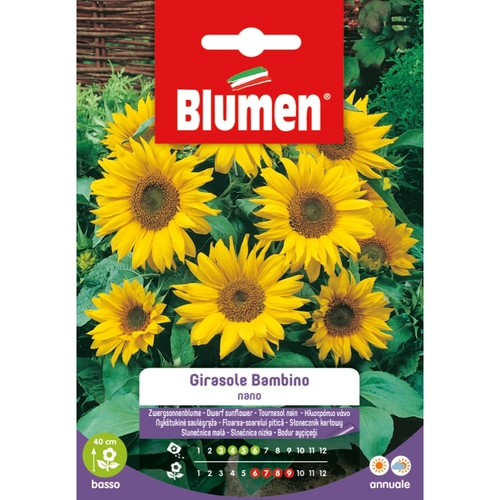 Semi fiore di girasole 20 g BRI1194021 Semi fiore di girasole 20 g BRI1194021
