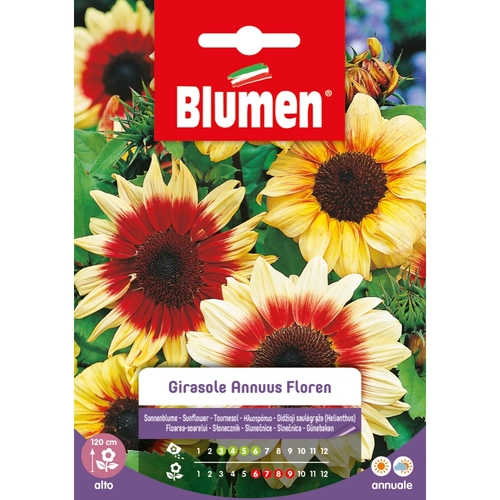 Semi fiore di girasole 20 g BRI1194022