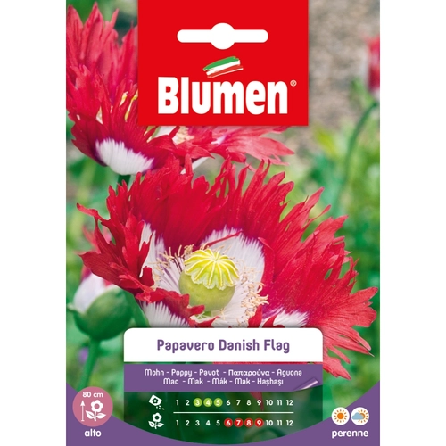 Semi fiore di papavero 20 g BRI1194024