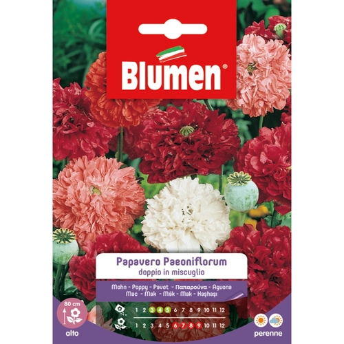 Semi fiore di papavero 20 g BRI1194025