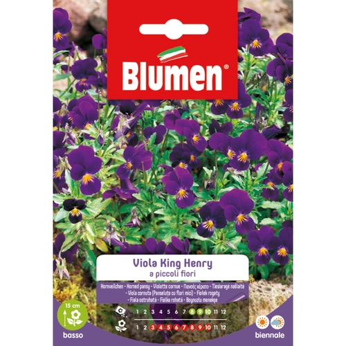 Semi fiore di viola 20 g BRI1194026