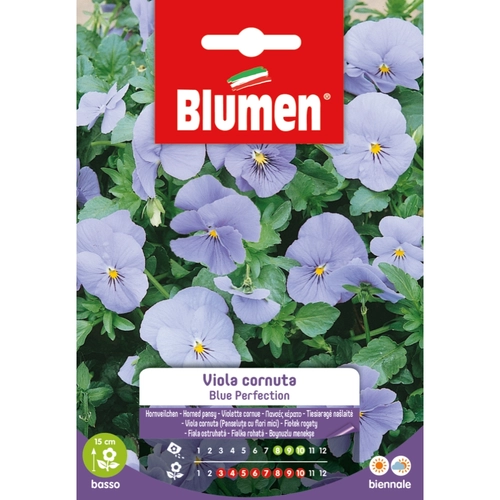 Semi fiore di viola 20 g BRI1194027