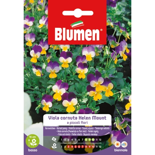 Semi fiore di viola 20 g BRI1194028