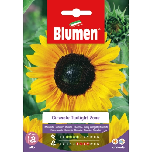 Semi fiore di girasole 20 g BRI1194030