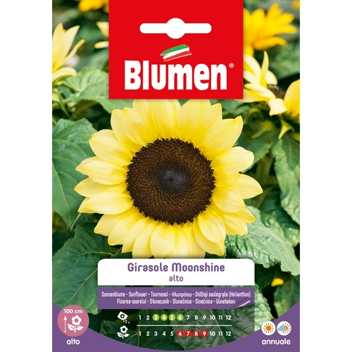 Semi fiore di girasole 20 g BRI1194031