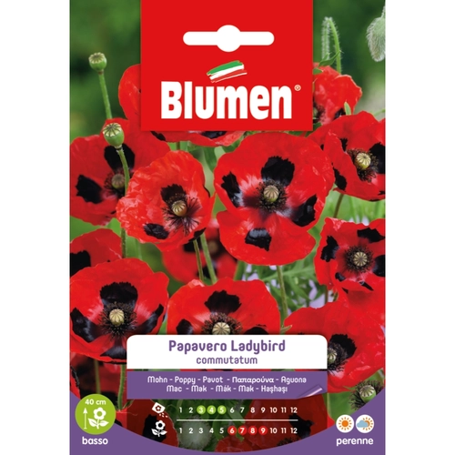 Semi fiore di papavero 20 g BRI1194032