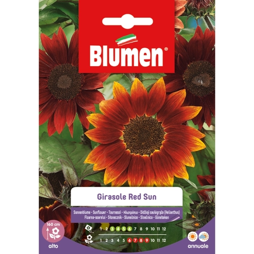 Semi fiore di girasole 20 g BRI1194038 Semi fiore di girasole 20 g BRI1194038