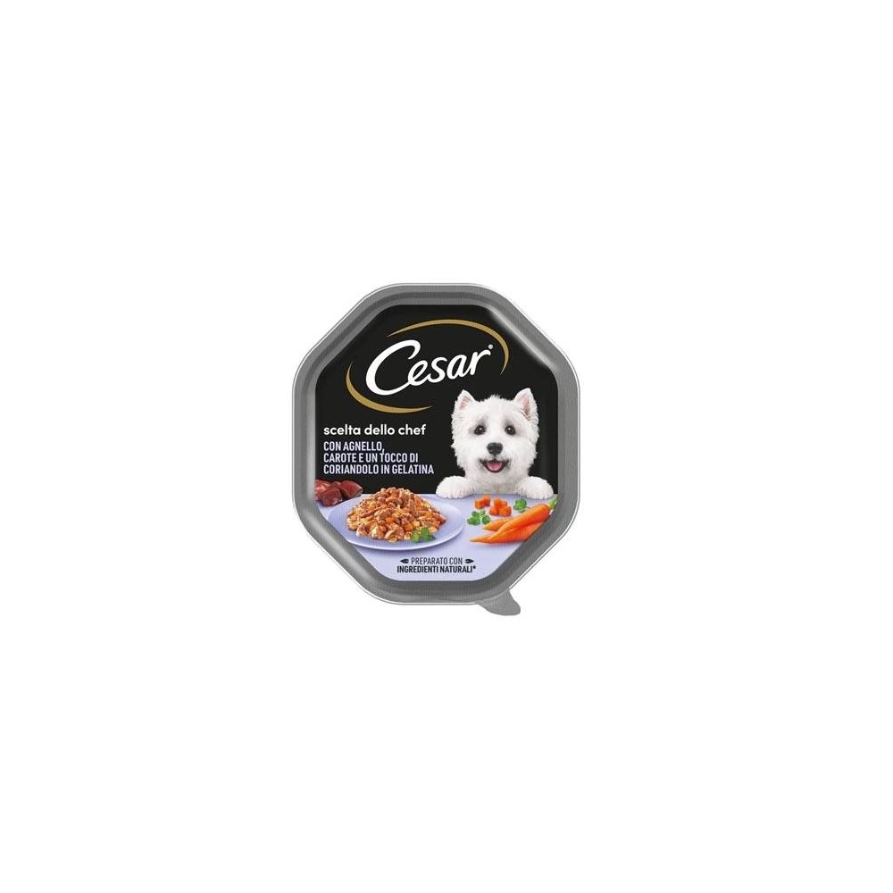 Cesar Cesar Dog Adult Agnello e Carote in Gelatina 150 g