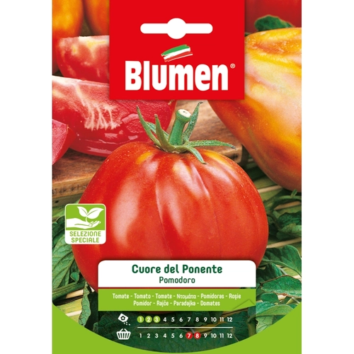 Semi orto di pomodoro 20 g BRI121814