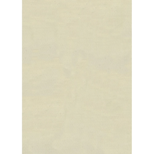 Tenda da sole, 145x300 cm, écru a tinta unita BRI1234701