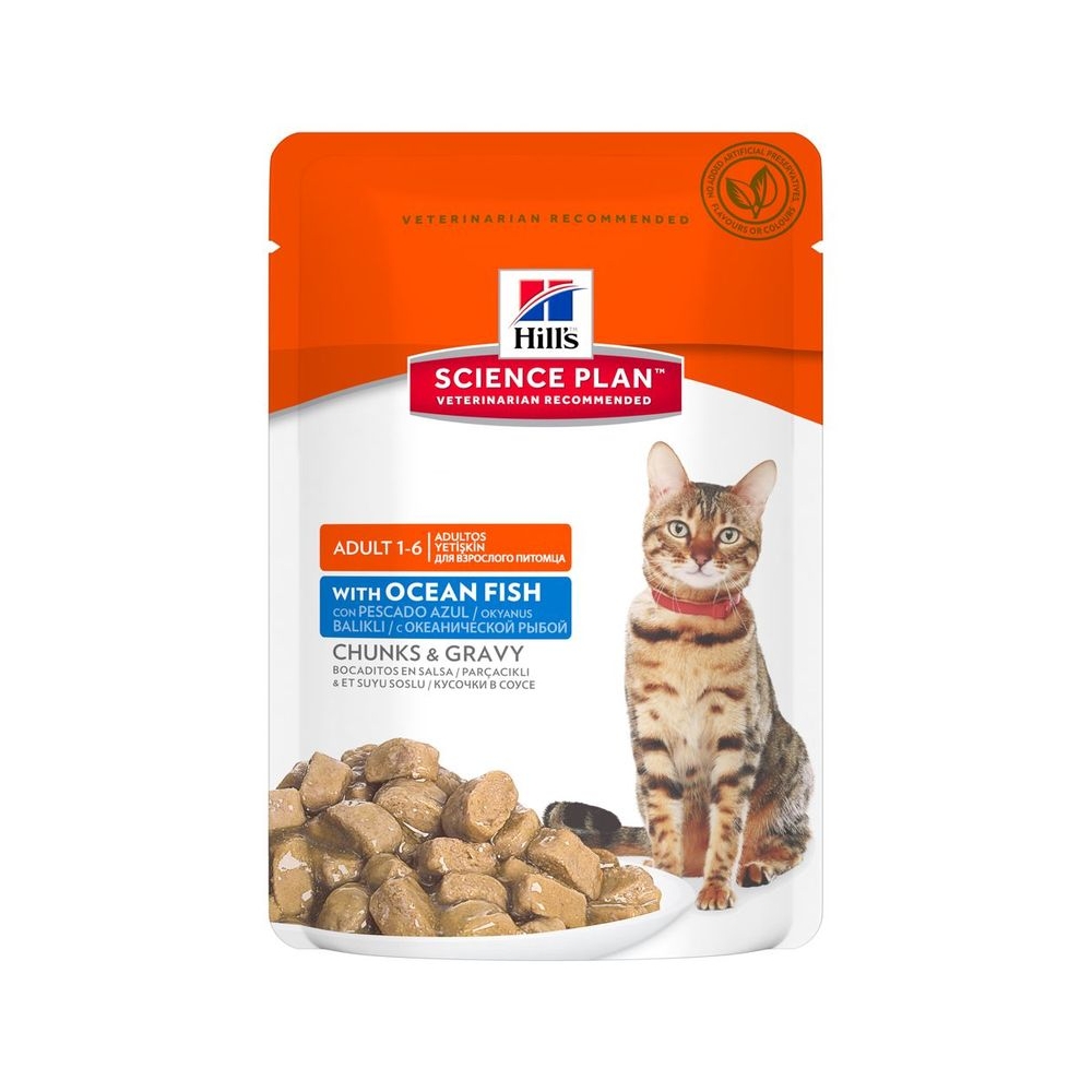 HILL'S Hill's Prescription Diet Cat Multicare 85 gr