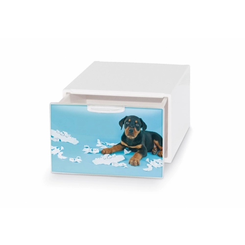 Cassetto L21 x P15,5 x H10,5 cm BRI1237348