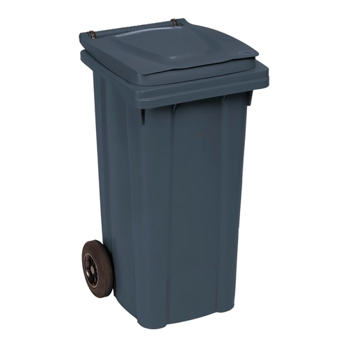 Bidone da 120 L BRI1241578