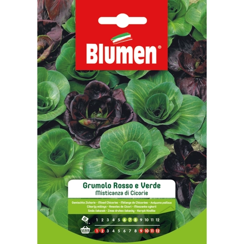 Semi orto di cicoria 20 g BRI1261167