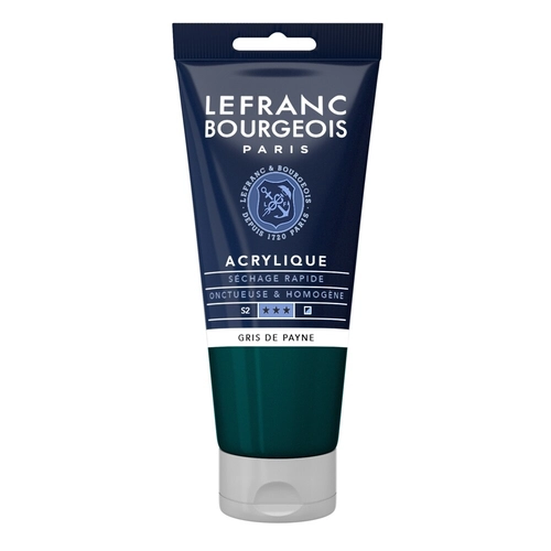 Colore acrilico grigio di Payne da 80 mL BRI1277196