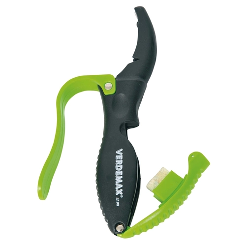 Affilalama in ABS BRI1284737