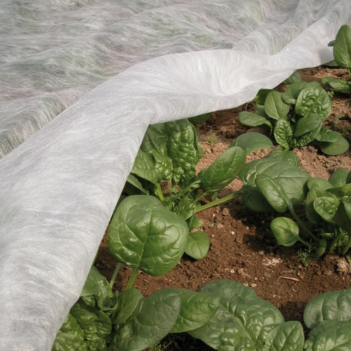 Telo di protezione ORTOCLIMA PLUS 2,4 x 10 m BRI1298371