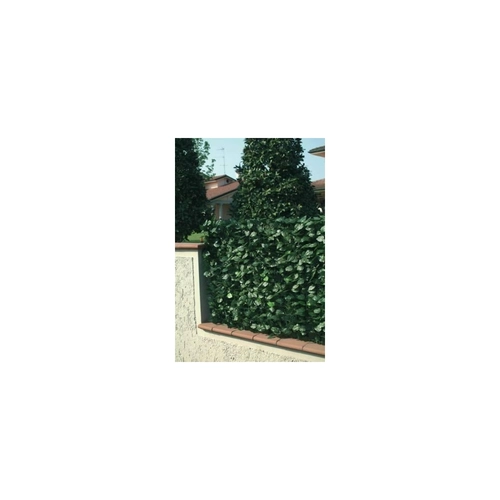 Siepe artificiale sempreverde 1,5x3 m BRI1309713