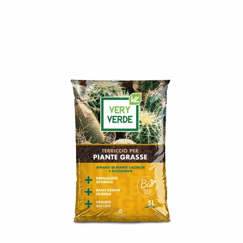 Terriccio TERRICCIO PER PIANTE GRASSE per piante grasse BRI1324337