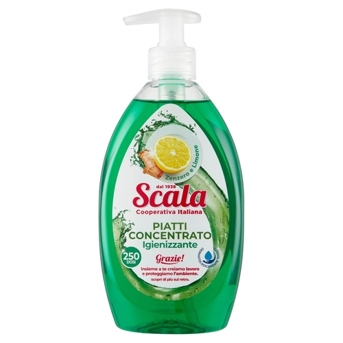 Detersivo Piatti Concentrato Igienizzante Zenzero e Limone 500 ml BRI1335337