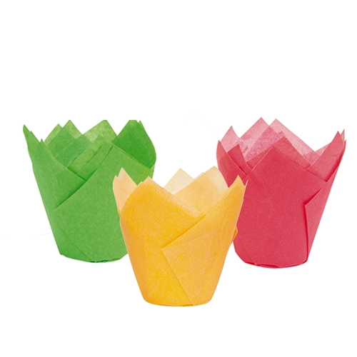 Pirottini Tulipani 12 x 7,5cm BRI1340136