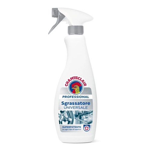 Sgrassatore Professional Universale Spray 700 ml BRI1342835