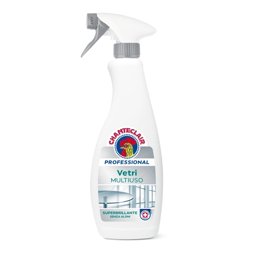 Detergente Professional Vetri Multiuso Spray 700 m BRI1342839