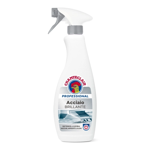 Detergente Professional Acciao Spray 700 ml BRI1342920