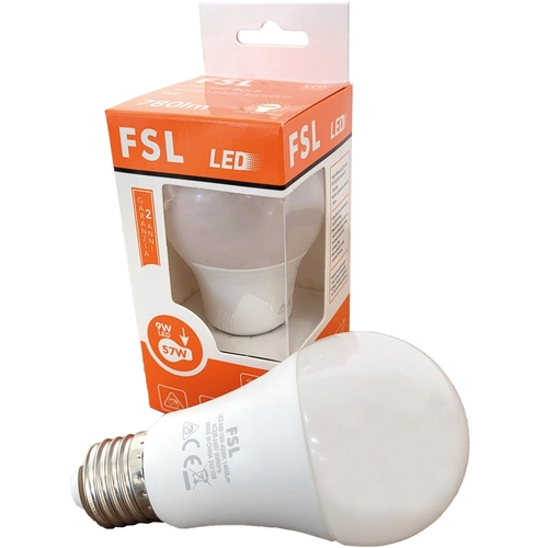 Lampadina LED attacco E27 BRI1346266