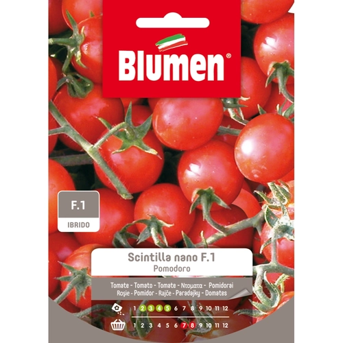 Semi orto di pomodoro 20 g BRI1347765