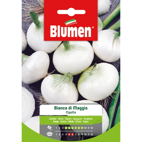 Bulbi 500 g BRI1347772