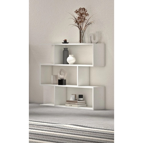Libreria Luce BRI1354686
