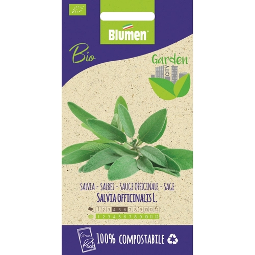 Semi orto di salvia 20 g BRI1390016