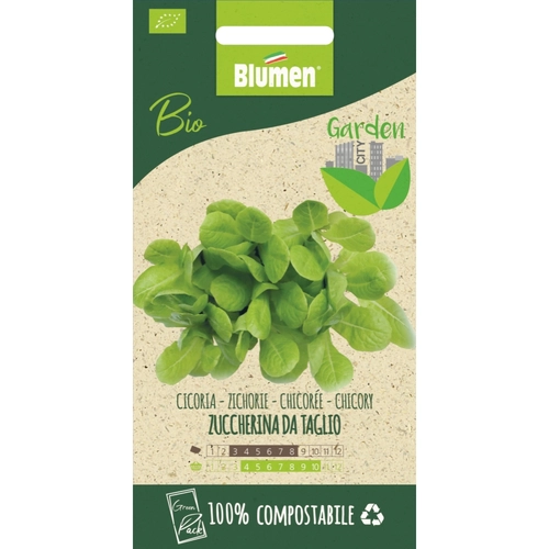 Semi orto di cicoria 20 g BRI1390031