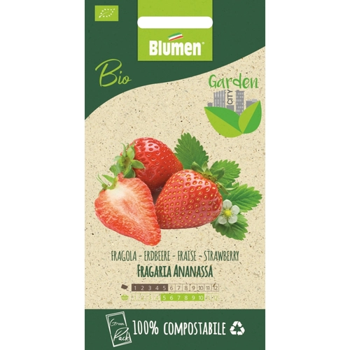 Semi orto di fragola 20 g BRI1390035